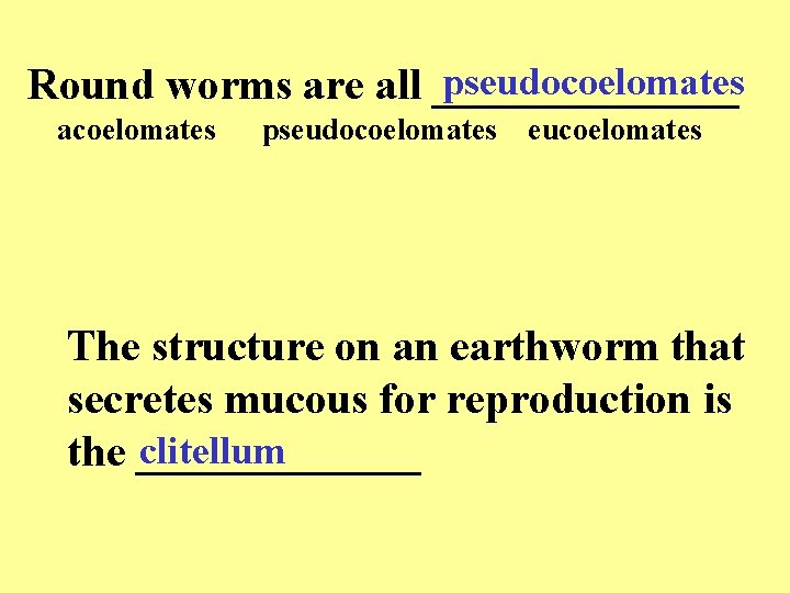 pseudocoelomates Round worms are all _______ acoelomates pseudocoelomates eucoelomates The structure on an earthworm
