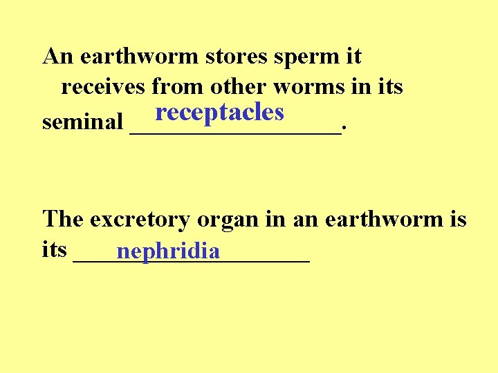 An earthworm stores sperm it receives from other worms in its receptacles seminal _________.