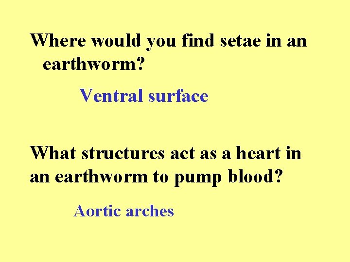Where would you find setae in an earthworm? Ventral surface What structures act as