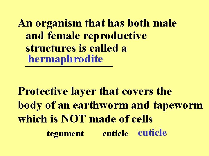 An organism that has both male and female reproductive structures is called a hermaphrodite