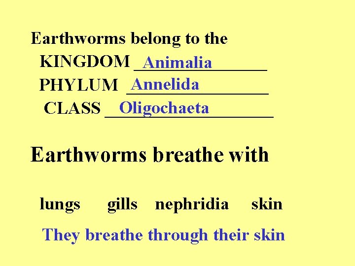 Earthworms belong to the KINGDOM ________ Animalia Annelida PHYLUM ________ Oligochaeta CLASS __________ Earthworms