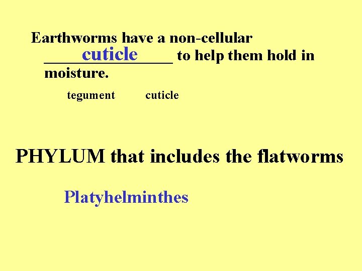 Earthworms have a non-cellular ________ to help them hold in cuticle moisture. tegument cuticle