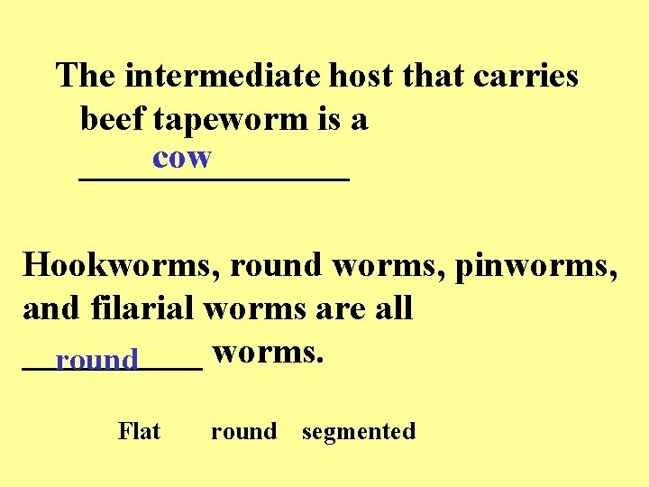 The intermediate host that carries beef tapeworm is a cow ________ Hookworms, round worms,