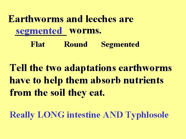 Earthworms and leeches are _____ segmented worms. Flat Round Segmented Tell the two adaptations