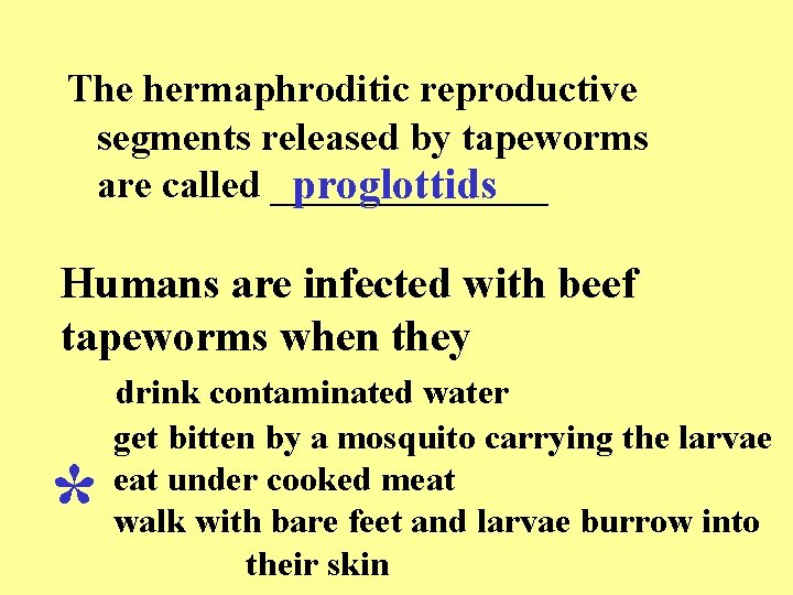 The hermaphroditic reproductive segments released by tapeworms are called _______ proglottids Humans are infected