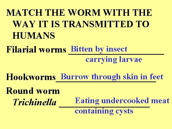MATCH THE WORM WITH THE WAY IT IS TRANSMITTED TO HUMANS Bitten by insect