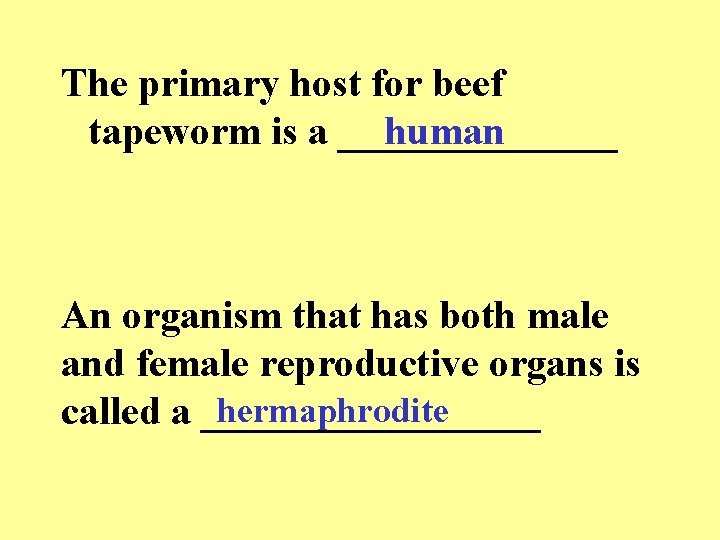 The primary host for beef tapeworm is a _______ human An organism that has