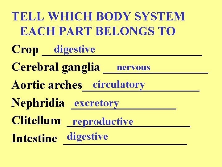 TELL WHICH BODY SYSTEM EACH PART BELONGS TO digestive Crop _____________ nervous Cerebral ganglia