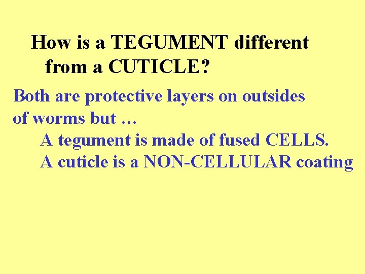 How is a TEGUMENT different from a CUTICLE? Both are protective layers on outsides