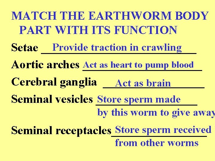 MATCH THE EARTHWORM BODY PART WITH ITS FUNCTION Provide traction in crawling Setae _____________