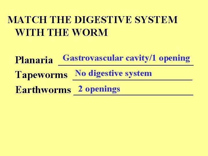 MATCH THE DIGESTIVE SYSTEM WITH THE WORM Gastrovascular cavity/1 opening Planaria _____________ No digestive