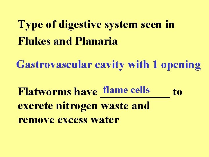 Type of digestive system seen in Flukes and Planaria Gastrovascular cavity with 1 opening