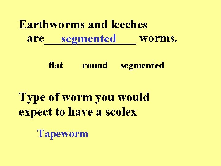 Earthworms and leeches are________ worms. segmented flat round segmented Type of worm you would