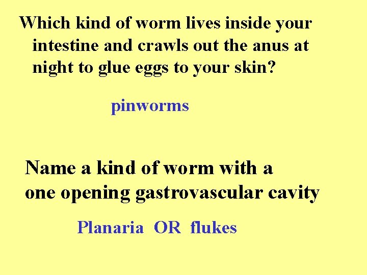 Which kind of worm lives inside your intestine and crawls out the anus at
