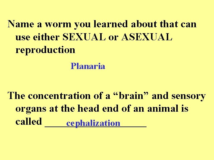 Name a worm you learned about that can use either SEXUAL or ASEXUAL reproduction