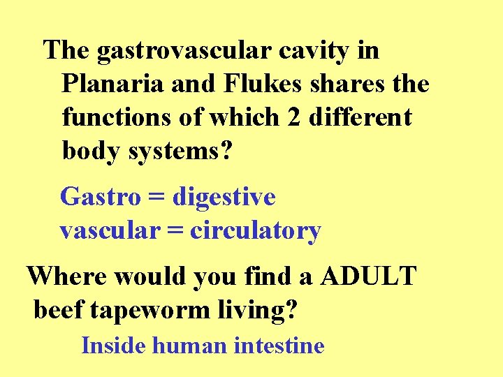 The gastrovascular cavity in Planaria and Flukes shares the functions of which 2 different