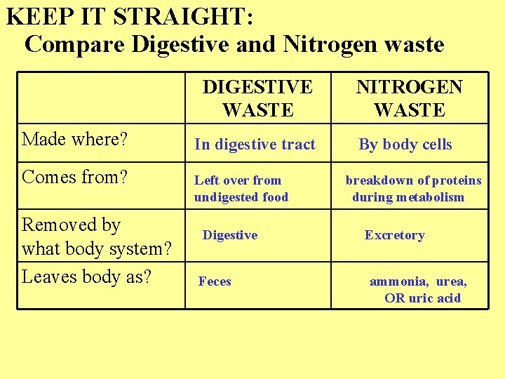KEEP IT STRAIGHT: Compare Digestive and Nitrogen waste DIGESTIVE WASTE NITROGEN WASTE Made where?