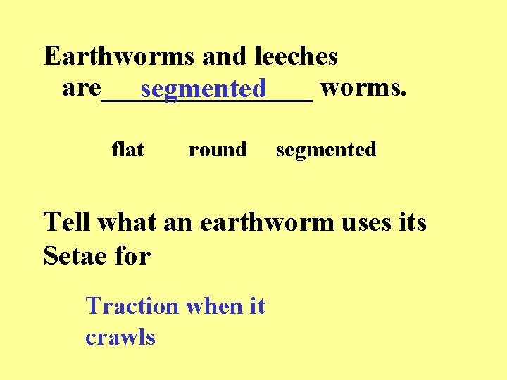 Earthworms and leeches are________ worms. segmented flat round segmented Tell what an earthworm uses