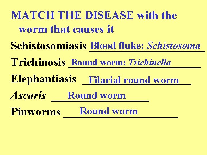 MATCH THE DISEASE with the worm that causes it Blood fluke: Schistosoma Schistosomiasis __________