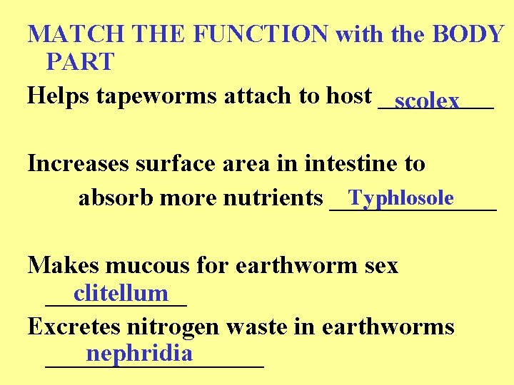 MATCH THE FUNCTION with the BODY PART Helps tapeworms attach to host _____ scolex
