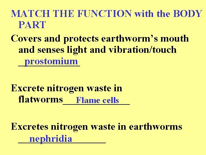 MATCH THE FUNCTION with the BODY PART Covers and protects earthworm’s mouth and senses