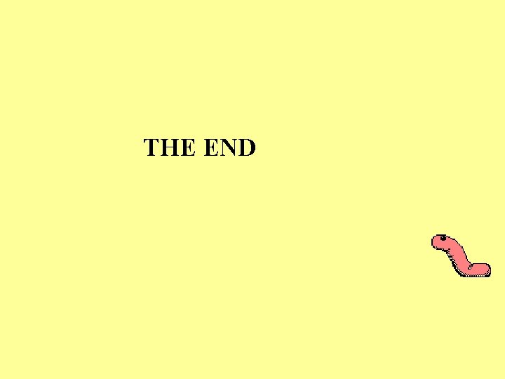 THE END 