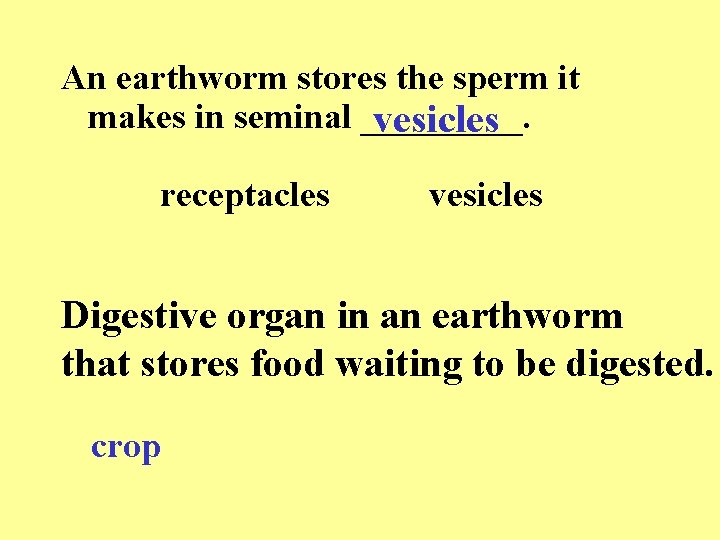 An earthworm stores the sperm it makes in seminal _____. vesicles receptacles vesicles Digestive