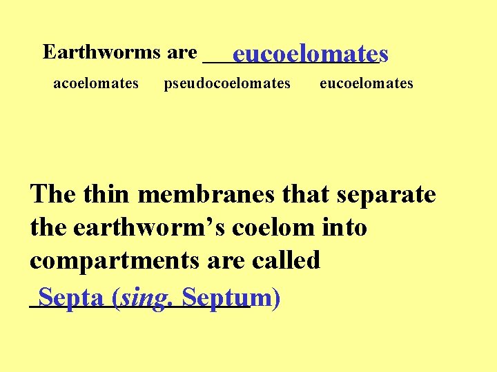 Earthworms are ________ eucoelomates acoelomates pseudocoelomates eucoelomates The thin membranes that separate the earthworm’s