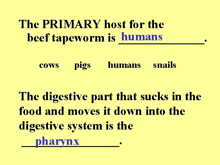 The PRIMARY host for the humans beef tapeworm is _______. cows pigs humans snails