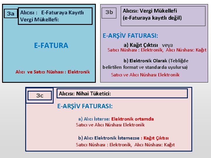 3 a Alıcısı : E-Faturaya Kayıtlı Vergi Mükellefi: 3 b Alıcısı: Vergi Mükellefi (e-Faturaya