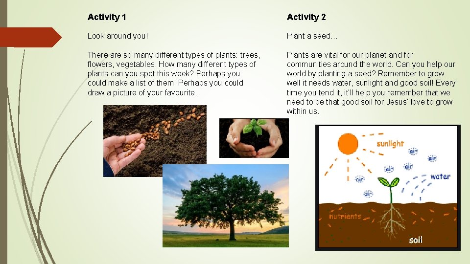 Activity 1 Activity 2 Look around you! Plant a seed… There are so many