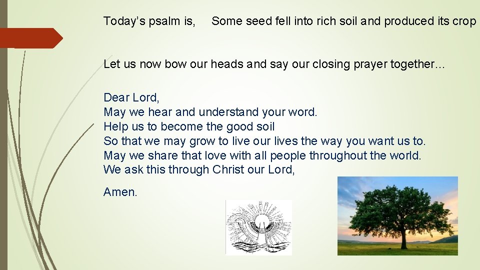 Today’s psalm is, Some seed fell into rich soil and produced its crop Let