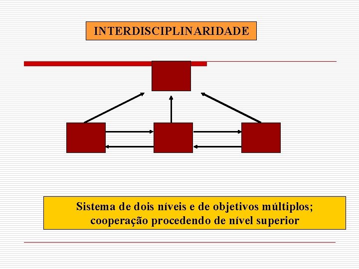 INTERDISCIPLINARIDADE Sistema de dois níveis e de objetivos múltiplos; cooperação procedendo de nível superior