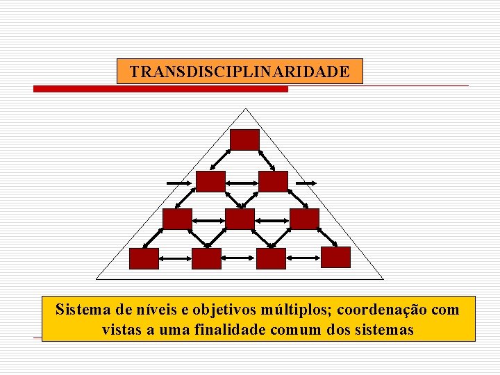 TRANSDISCIPLINARIDADE Sistema de níveis e objetivos múltiplos; coordenação com vistas a uma finalidade comum