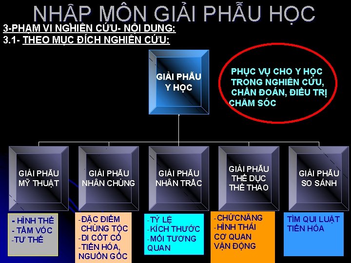 NHẬP MÔN GIẢI PHẪU HỌC 3 -PHẠM VI NGHIÊN CỨU- NỘI DUNG: 3. 1