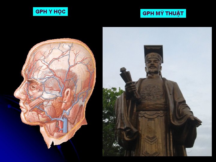 GPH Y HỌC GPH MỸ THUẬT 