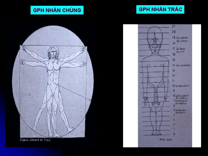 GPH NH N CHỦNG GPH NH N TRẮC 