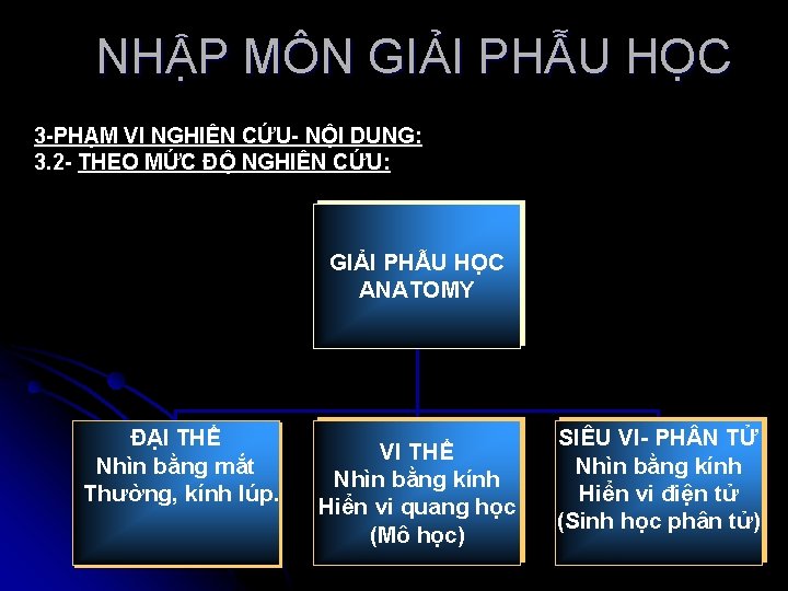 NHẬP MÔN GIẢI PHẪU HỌC 3 -PHẠM VI NGHIÊN CỨU- NỘI DUNG: 3. 2