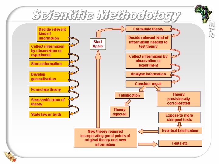 Decide relevant kind of information Collect information by observation or experiment Formulate theory Decide