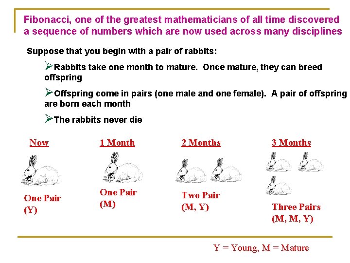 Fibonacci, one of the greatest mathematicians of all time discovered a sequence of numbers