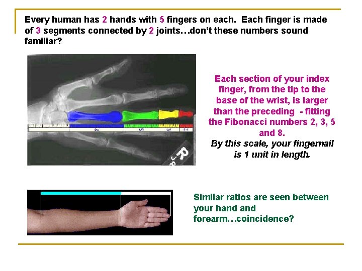 Every human has 2 hands with 5 fingers on each. Each finger is made