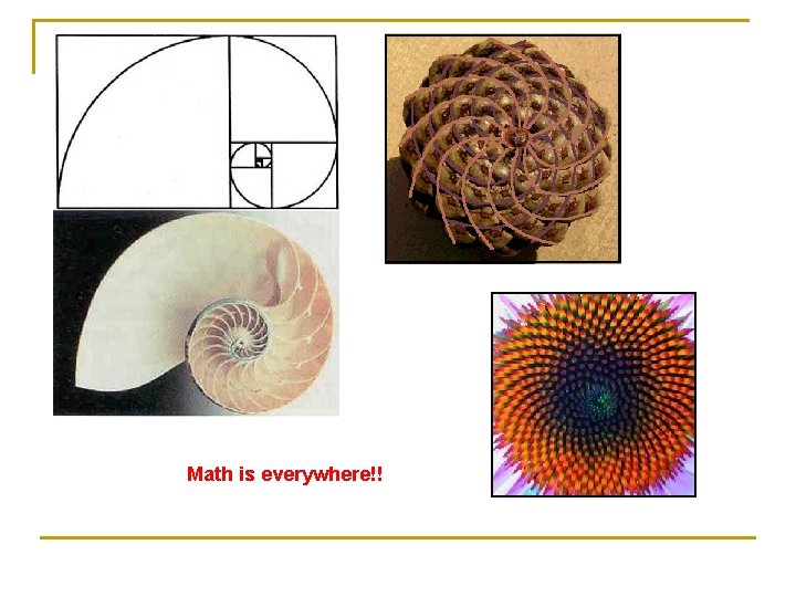 Math is everywhere!! 