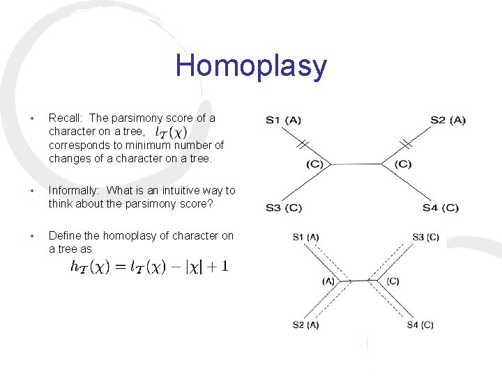 Homoplasy • Recall: The parsimony score of a character on a tree, corresponds to