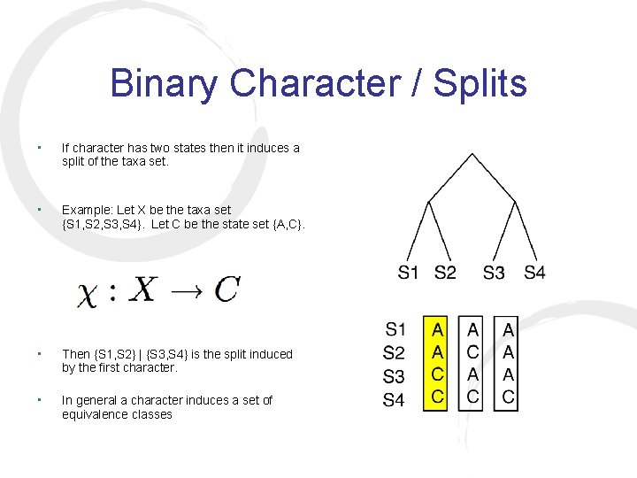 Binary Character / Splits • If character has two states then it induces a