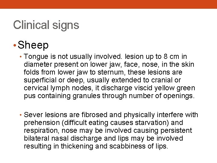 Clinical signs • Sheep • Tongue is not usually involved. lesion up to 8