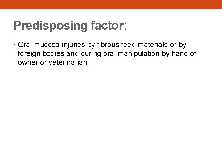 Predisposing factor: • Oral mucosa injuries by fibrous feed materials or by foreign bodies