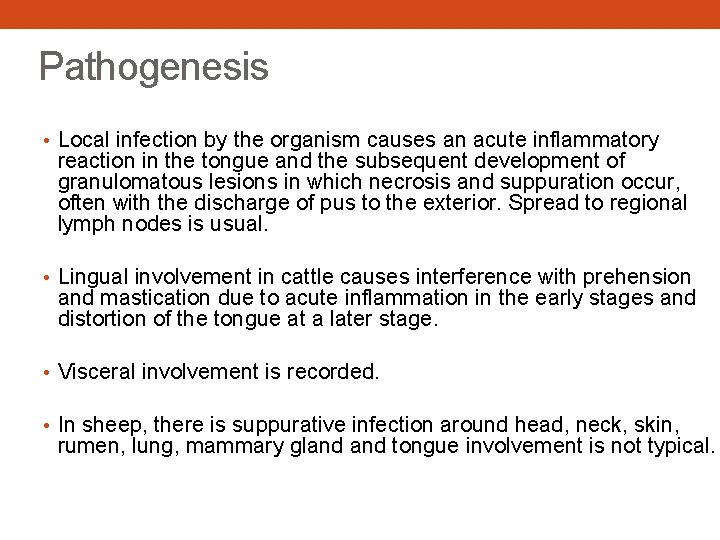 Pathogenesis • Local infection by the organism causes an acute inflammatory reaction in the