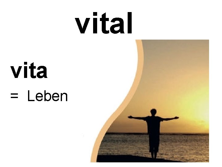 vital vita = Leben 