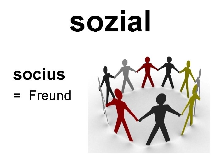 sozial socius = Freund 