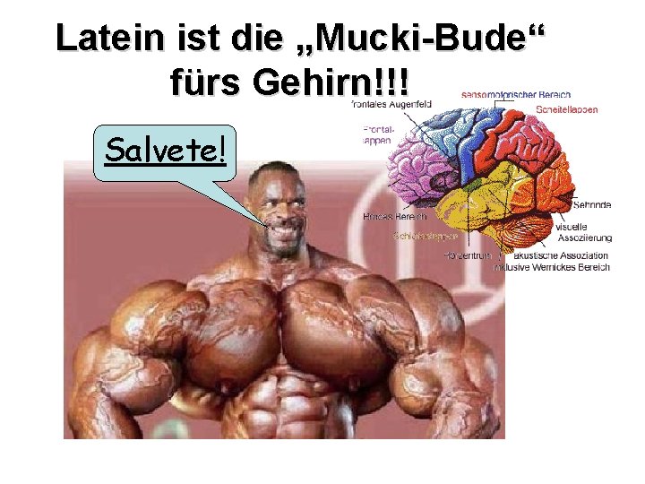 Latein ist die „Mucki-Bude“ fürs Gehirn!!! Salvete! 